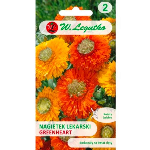 Nagietek lekarski Greenheart, mix interface.image 1 interface.art 50110