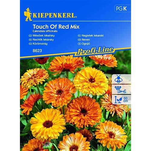 Nagietek Touch Of Red, mix kolorow interface.image 1 interface.art 96520