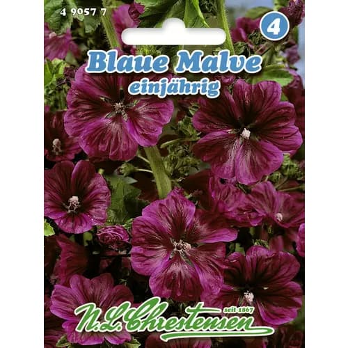 Nalbă anuală imagine 1 articol 96403