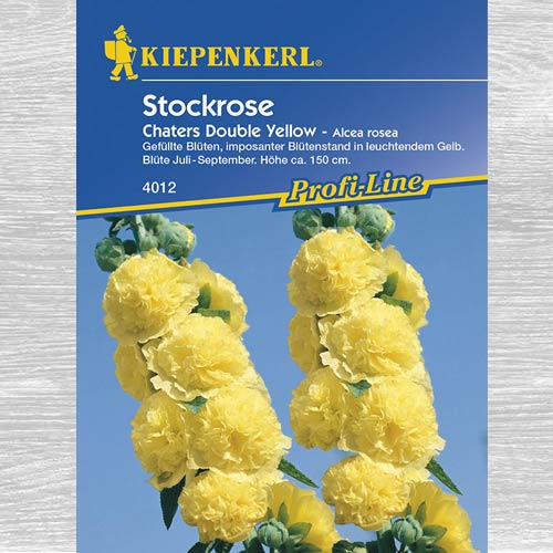 Nalbă de grădină (Alcea) Chaters DoubleYellow imagine 1 articol 77443