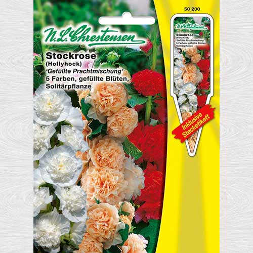 Nalbă de grădină dublă, mix multicolor imagine 1 articol 69232