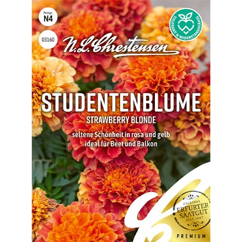 Crăițe Strawberry Blonde imagine 1 articol 86203