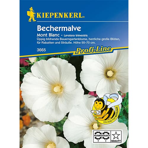 Nalbă (Lavatera trimestris) Mont Blanc imagine 1 articol 86253