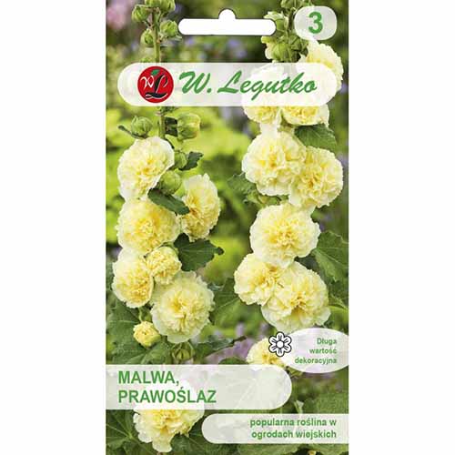 Nalbă de grădină Marshmallow, galbenă imagine 1 articol 96756