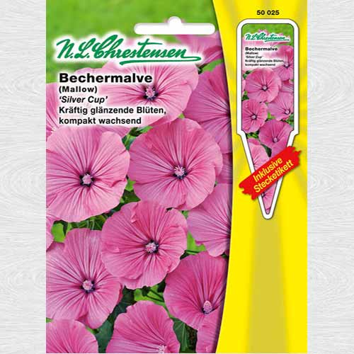 Nalbă Silver Cup imagine 1 articol 69330