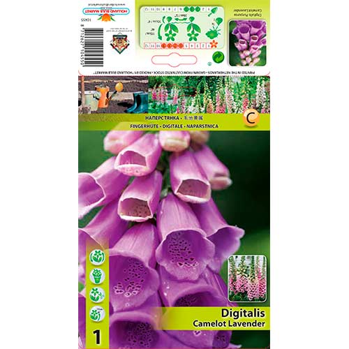 Naparstnica Camelot Lavender interface.image 1 interface.art 76225