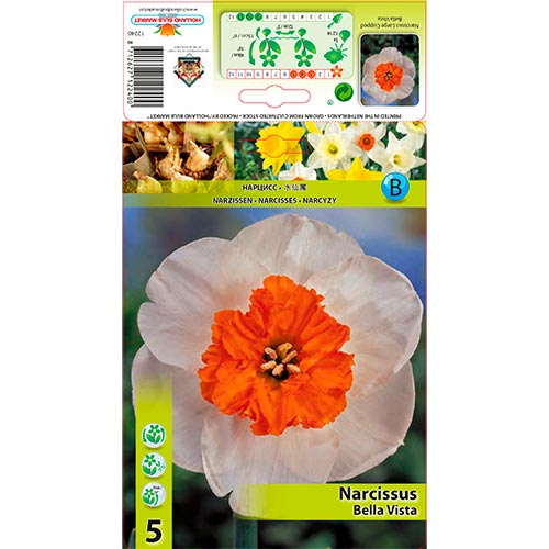 Narcise Bella Vista imagine 1 articol 67640