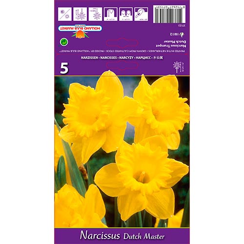 Narcise Dutch Master imagine 1 articol 67647