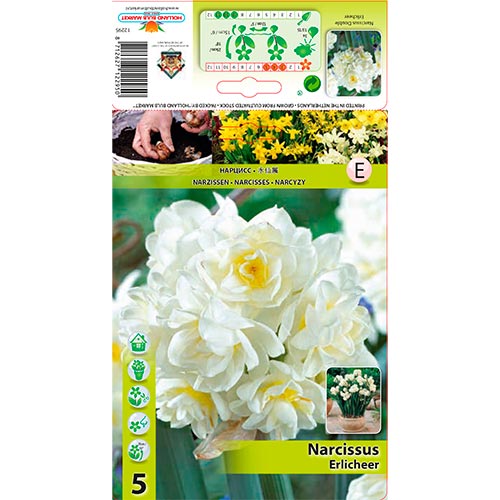 Narcise Erlicheer imagine 1 articol 70285