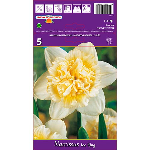 Narcise Ice King imagine 1 articol 67415