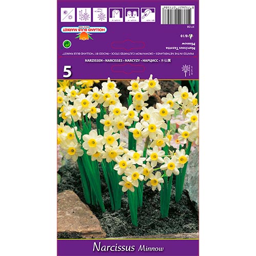 Narcise Minnow imagine 1 articol 67652