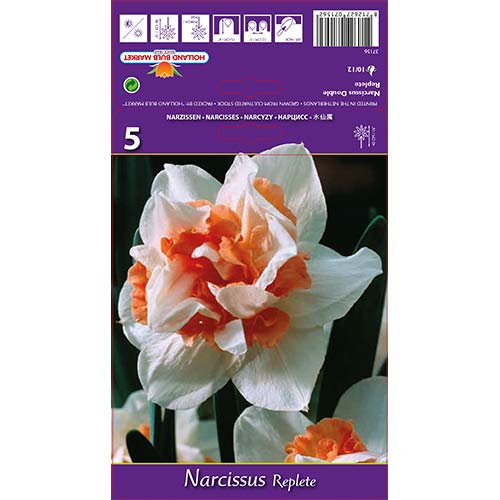 Narcise Replete imagine 1 articol 68071