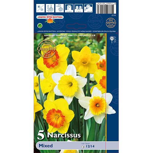 Narcise trumpet mix multicolor imagine 1 articol 67665