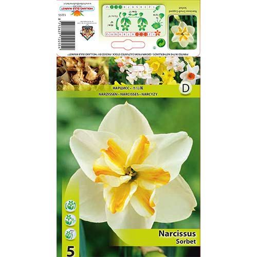Narcyz Sorbet interface.image 1 interface.art 67430