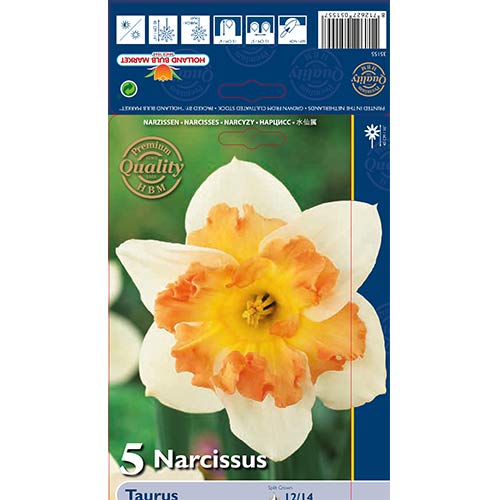 Narcyz Taurus interface.image 1 interface.art 68022
