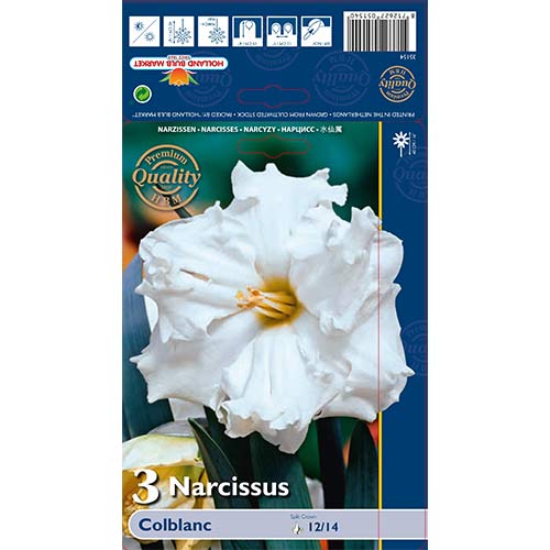 Нарцис Colblanc изображение 1 артикул 67648