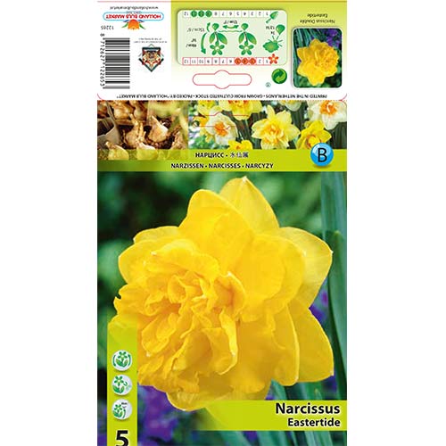 Нарцис Eastertide изображение 1 артикул 70280