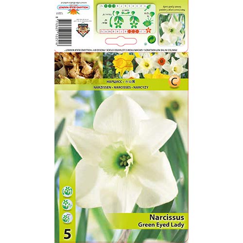 Нарцис Green Eyed Lady изображение 1 артикул 67429