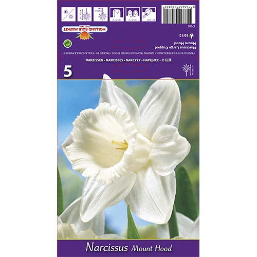 Нарцис Mount Hood изображение 1 артикул 70214