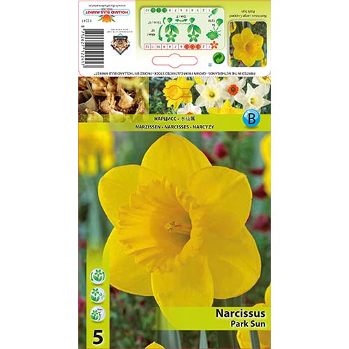 Нарцис Park Sun изображение 1 артикул 67654