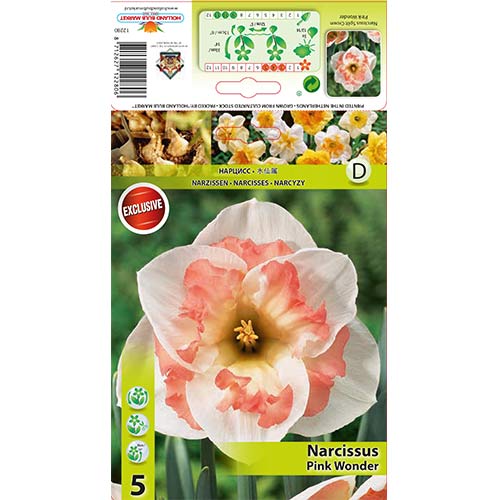 Нарцис Pink Wonder изображение 1 артикул 67434
