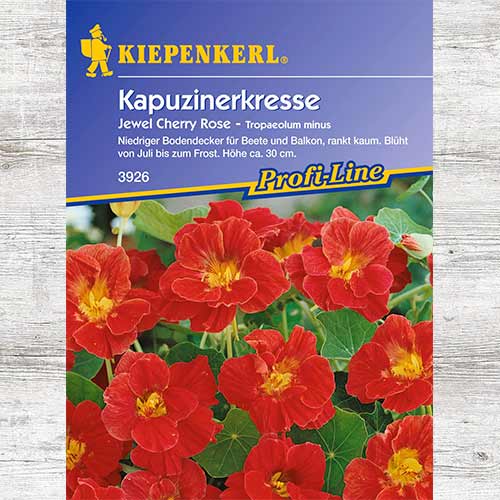 Nasturcja mniejsza Jewel Cherry Rose interface.image 1 interface.art 86272