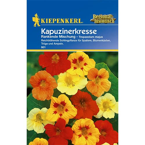 Nasturcja Rankende, mix kolorow interface.image 1 interface.art 77398