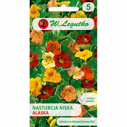 Condurul doamnei Alaska, mix multicolor imagine 1 articol 96775