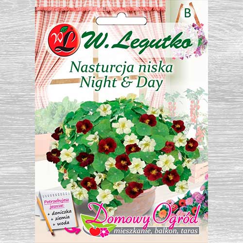 Năsturel Night & Day Legutko imagine 1 articol 69661