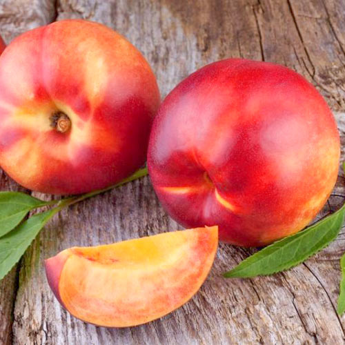 Nectarin Gigi imagine 1 articol 7981