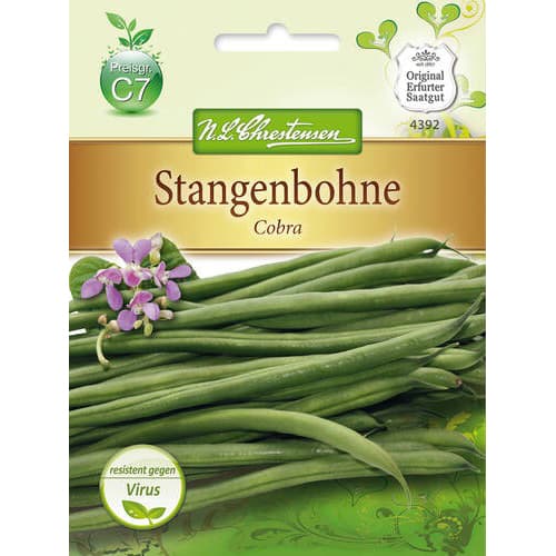Увивен фасул Cobra изображение 1 артикул 78833