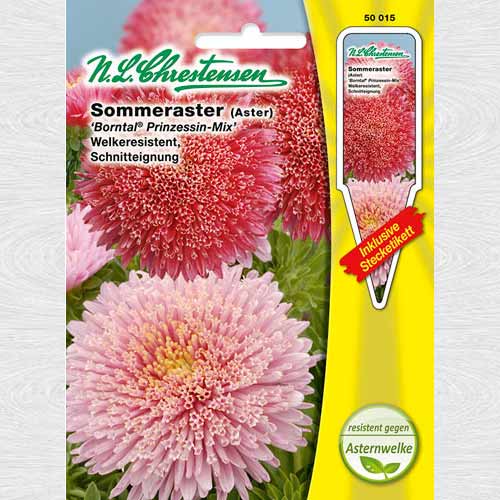 Ochiul boului Borntaler, mix multicolor imagine 1 articol 69261