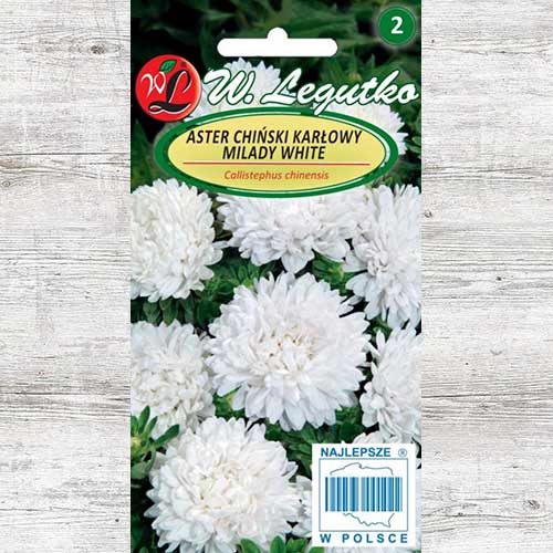 Ochiul boului Milady White Legutko imagine 1 articol 86808