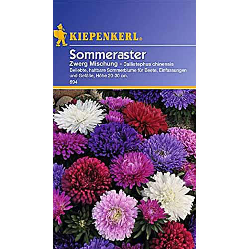 Ochiul boului pitic, mix multicolor Kiepenkerl imagine 1 articol 86245