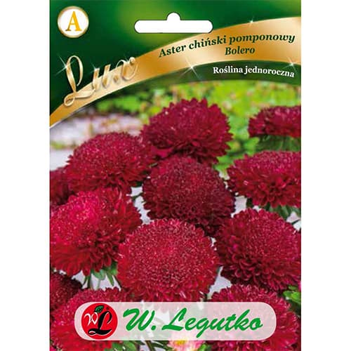 Ochiul boului pompon Bolero imagine 1 articol 86744