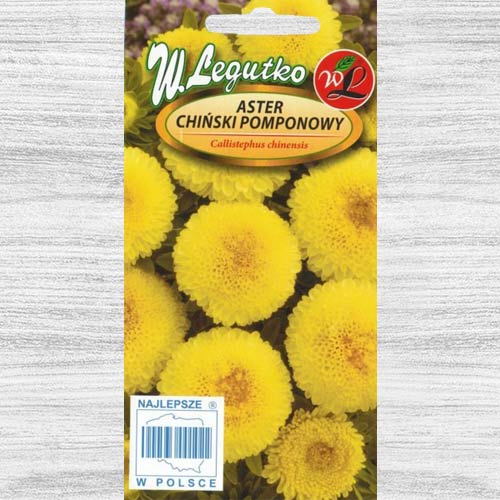 Ochiul boului pompon galben imagine 1 articol 78530