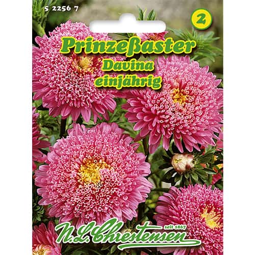 Ochiul boului Princess Davina imagine 1 articol 86138