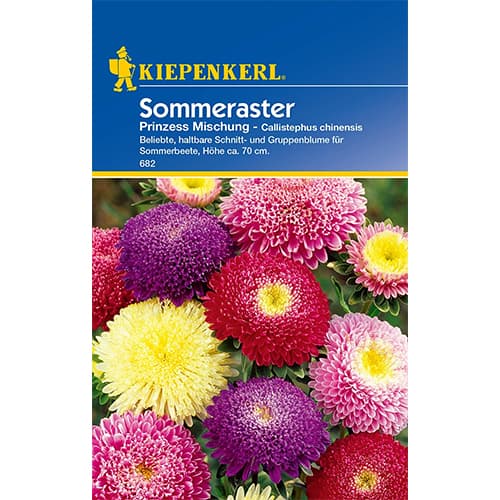 Ochiul boului Princess, mix multicolor imagine 1 articol 86316