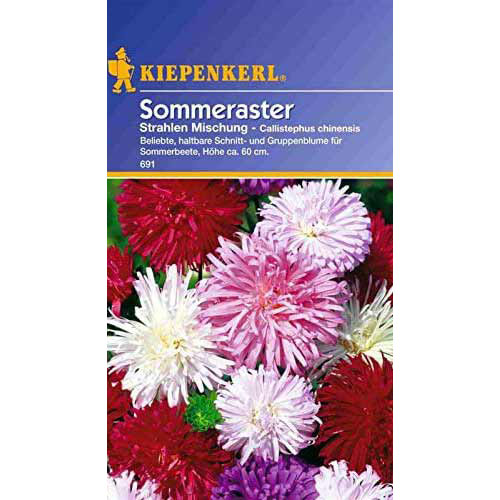 Ochiul boului Shine, mix multicolor Kiepenkerl imagine 1 articol 86244