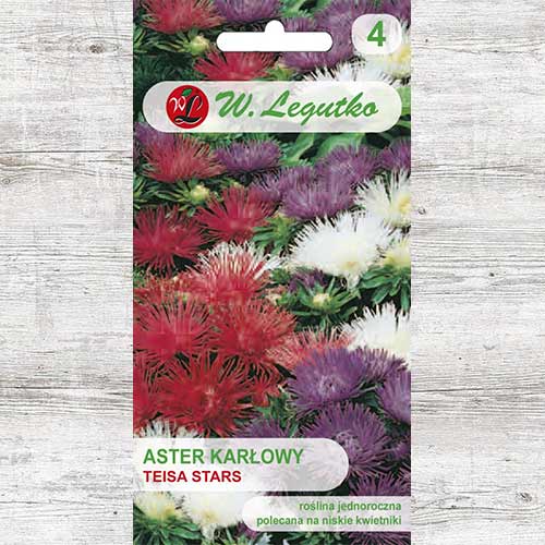 Ochiul boului Teisa Start, mix multicolor Legutko imagine 1 articol 86812