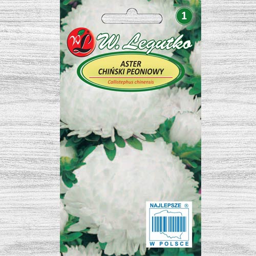 Ochiul boului tip bujor alb Legutko imagine 1 articol 78520