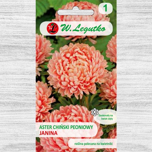 Ochiul boului tip bujor somon Legutko imagine 1 articol 78522