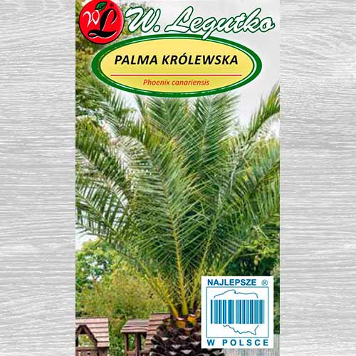 Palmier Legutko imagine 1 articol 69616