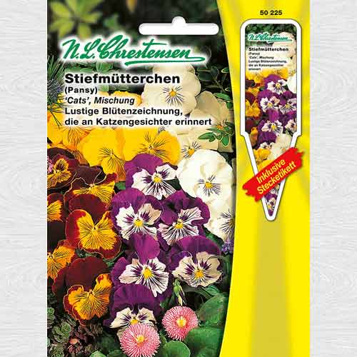 Panseluțe Cats, mix multicolor imagine 1 articol 69404