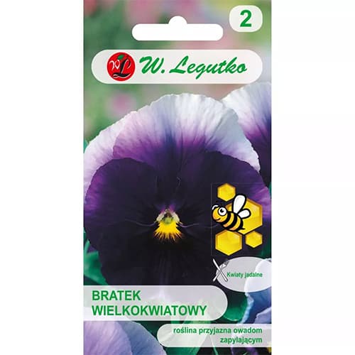 Panseluțe cu flori mari Lord Beaconsfield imagine 1 articol 96735