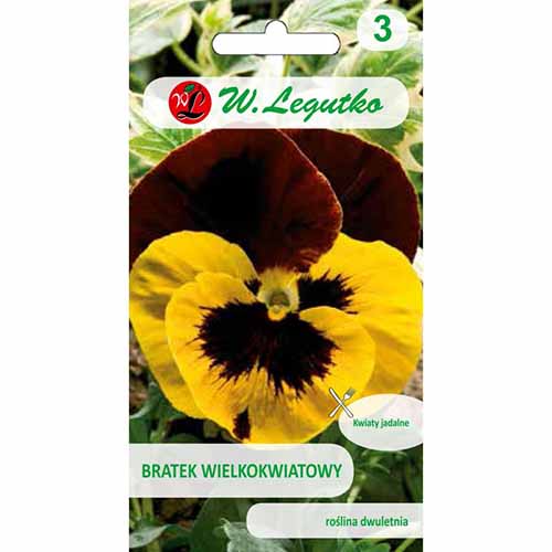 Panseluțe cu flori mari Red Wings imagine 1 articol 96736