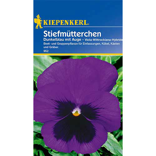 Panseluțe Dark Blue eyed Kiepenkerl imagine 1 articol 86334