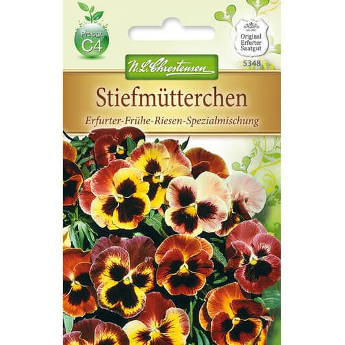 Panseluțe Early Giant, mix multicolor imagine 1 articol 78964