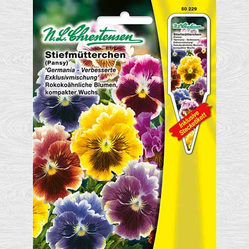 Panseluțe Exclusive, mix multicolor imagine 1 articol 69409