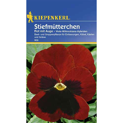 Panseluțe Red eyed Kiepenkerl imagine 1 articol 86350